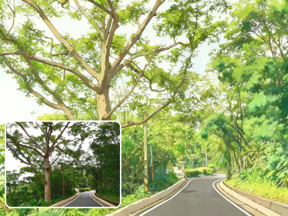 Nature Scene - Peaceful landscapes with anime atmosphere